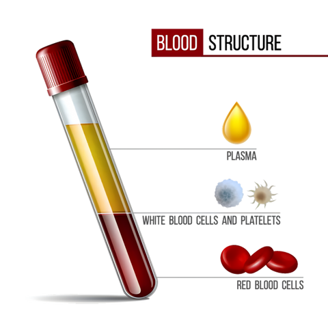 Platelet-Rich Plasma (PRP) Therapy